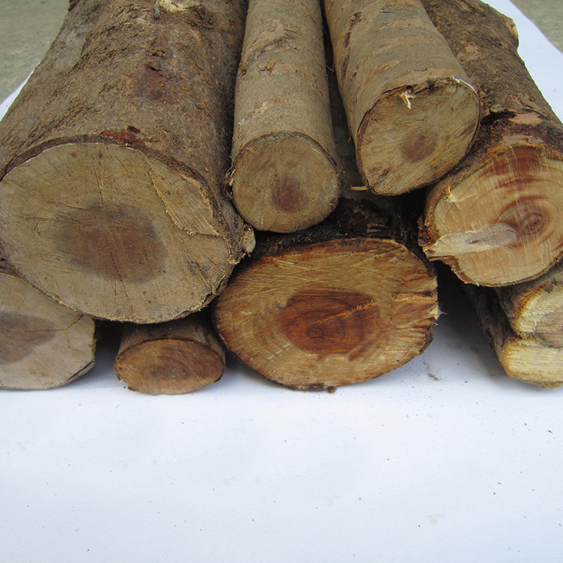 红豆杉原木木料树段正宗天然工艺手串佛珠木雕木雕