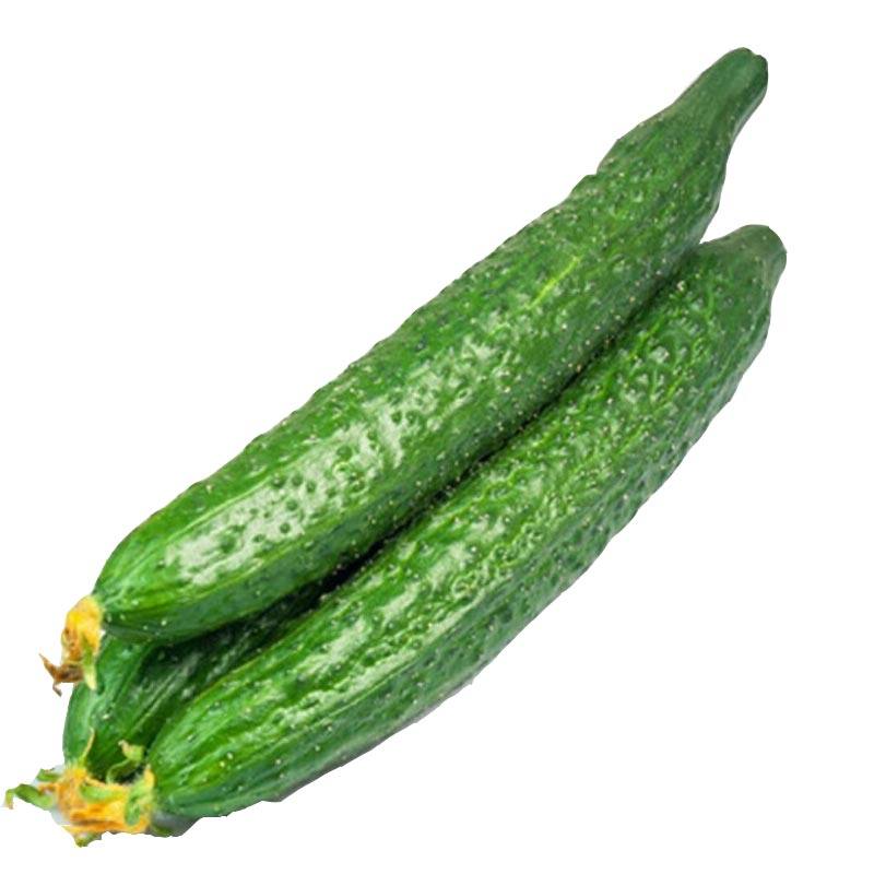 黄瓜新鲜密云农家种植精选甜嫩脆青蔬菜生吃黄瓜