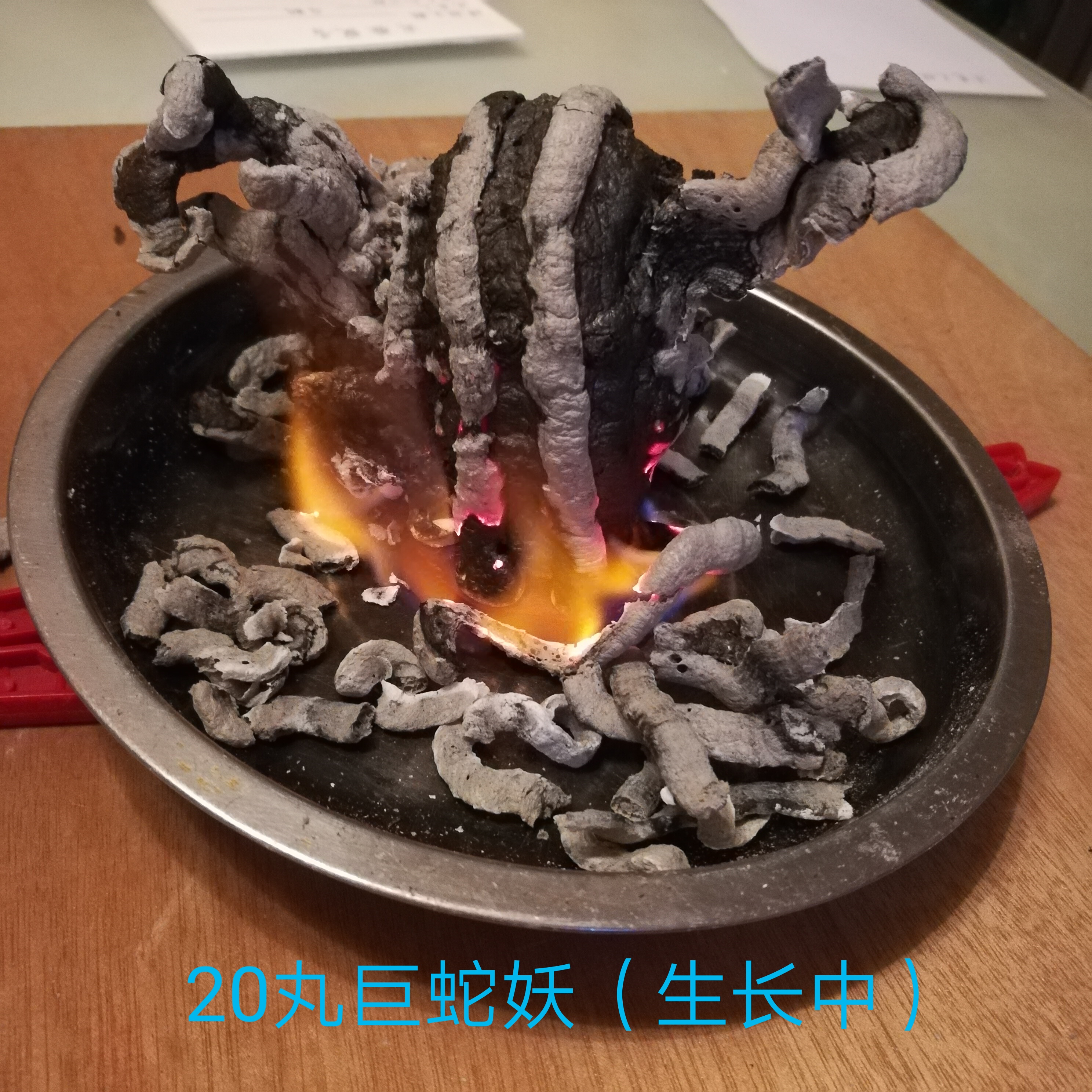 法老之蛇免邮十大化学科学实验学生教学教具魔术科学实验