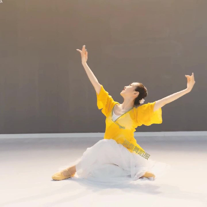 舞蹈萱草花舞演出服女童古典练功中国舞民族风长袖儿童演出服