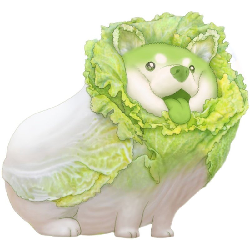 蔬菜精灵龚俊诺安同款白菜狗日日本礼物手办潮玩盲盒