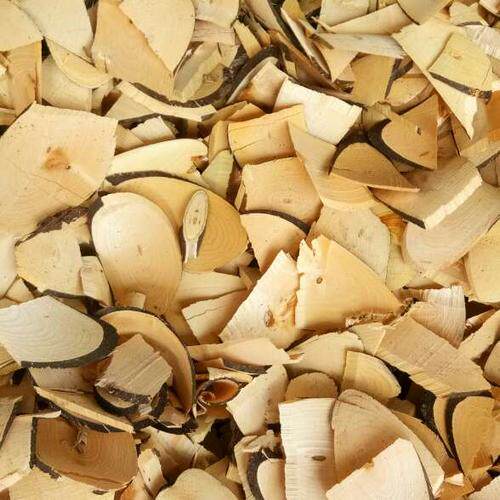 苦木土樗苦皮苦胆500克2斤包邮中药材新货免费其他药食同源食品