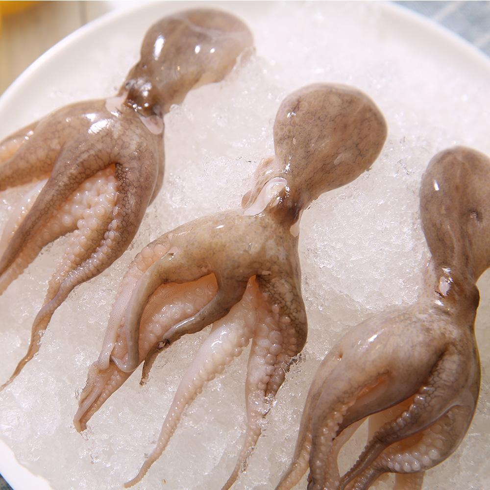 味库活发冰鲜八爪鱼网红大爆头新鲜章鱼海鲜冷冻章鱼