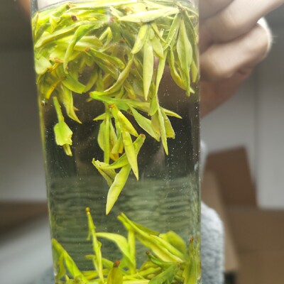 9号头采白茶花香回甘香甜翠绿色肉质大佛250g龙井茶