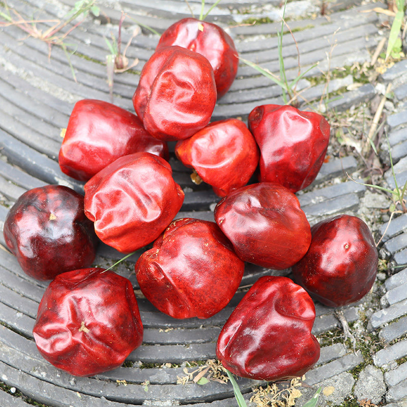 微辣特香贵州圆形灯笼椒干辣椒500g大个朝天椒炒制麻辣香干锅海椒