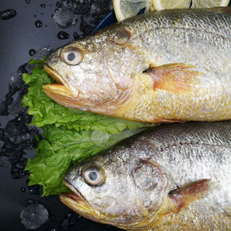 新鲜大黄花鱼冷冻非野生黄鱼海鱼大连海鲜水产类鲜活3斤顺丰包邮