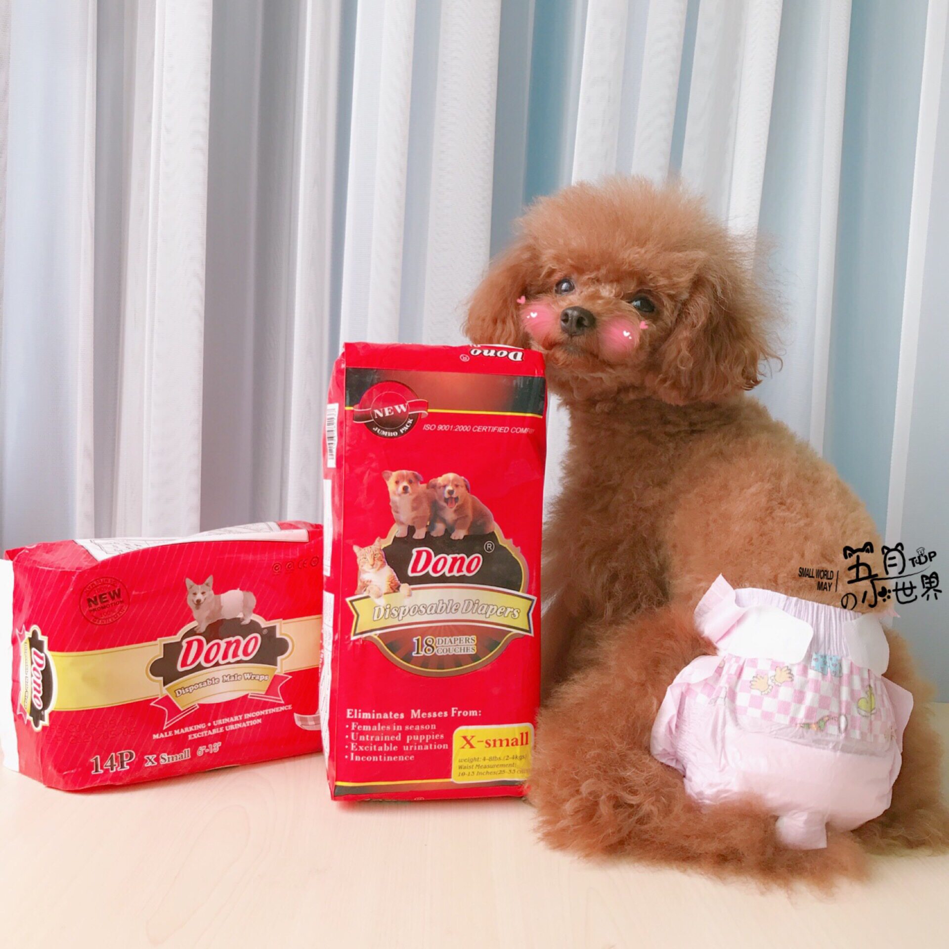 狗狗生理纸尿裤尿不湿公狗母狗专用卫生裤尿片生理裤