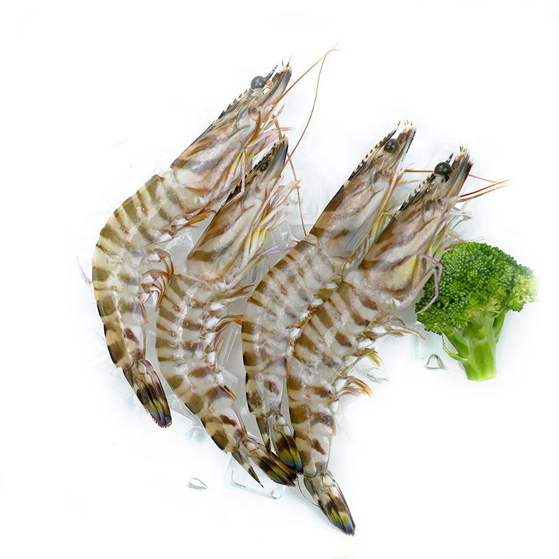 网潮海鲜 舟山东海野生斑节虾 九节虾 新鲜竹节虾 一斤9-11只