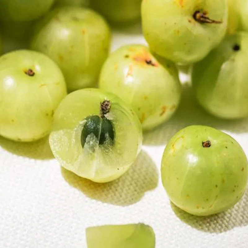 新鲜油柑顺丰余甘水果酸水橄榄2斤果牛果余其它