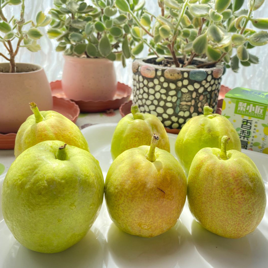 香梨产地地直新疆库尔勒新鲜水果当季热卖爆甜梨