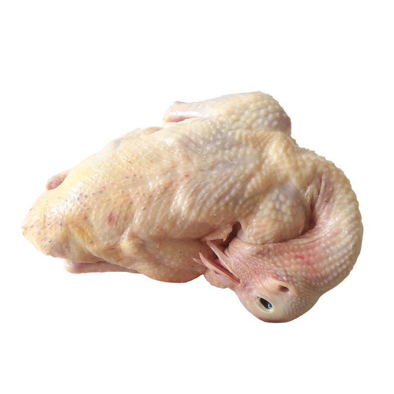 鸽子新鲜现杀乳鸽生鲜炖汤真空冷冻5只包邮乳鸽