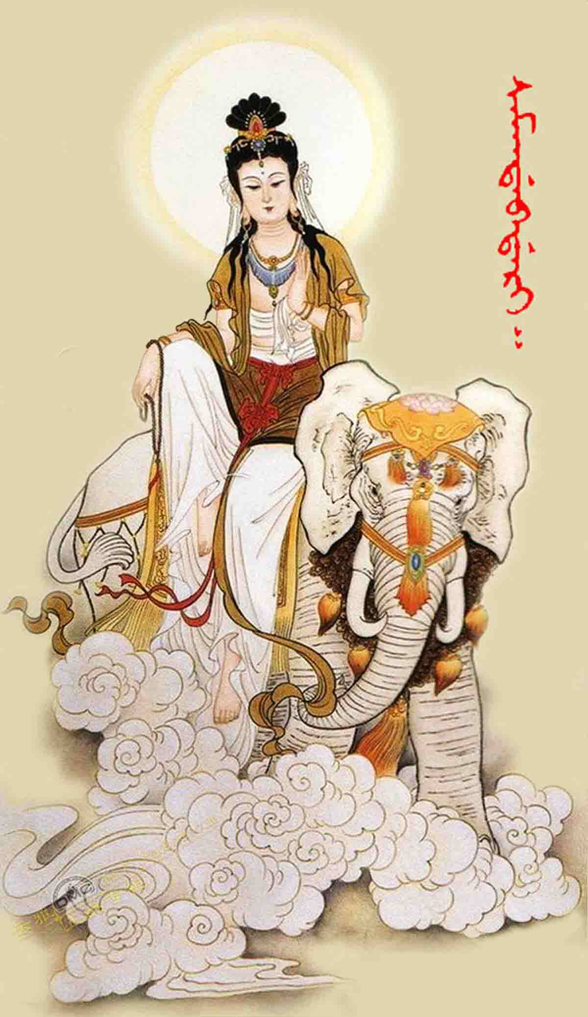 包邮精准印花dmc纯棉棉线十字绣正品佛教普贤十字绣套件