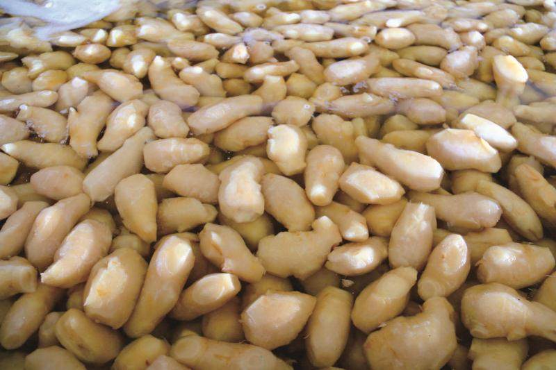 93乳山御姜堂水晶蜜姜包邮原味糖姜红糖蜂蜜嫩姜500