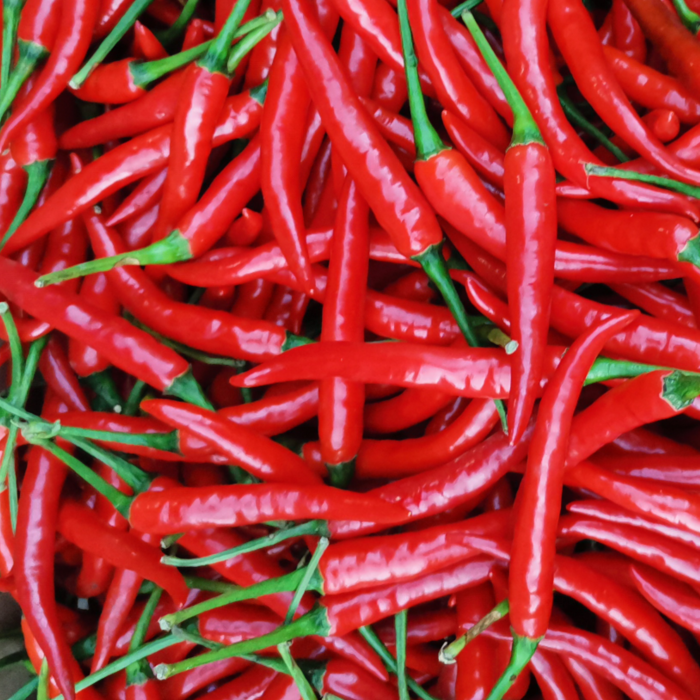 湖北宜昌红辣椒农村辣椒新鲜蔬菜红椒作料土特产辣椒