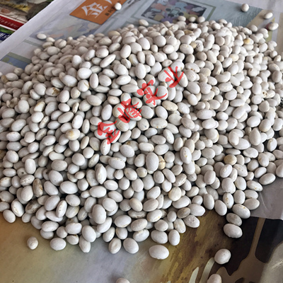 贵州黔西南兴义普安特产家乡味大小红绿白珍珠金豆26元两斤其它