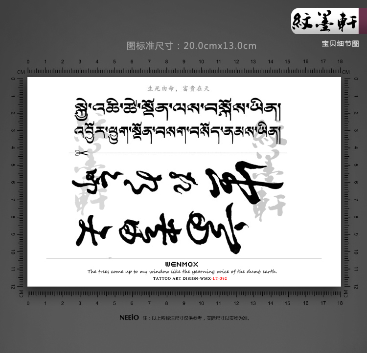 纹墨轩贝克汉姆小贝同款纹身贴 生死有命富贵在天梵文纹身贴纸 男