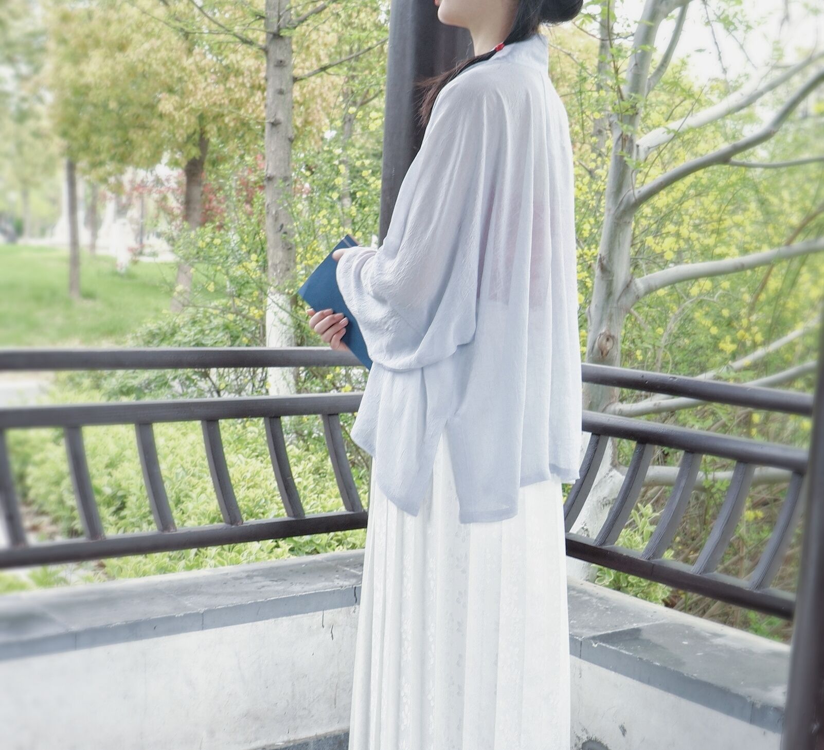 裳裳者华白菜原创宋制直对襟长衫短衫飞机袖褙汉服