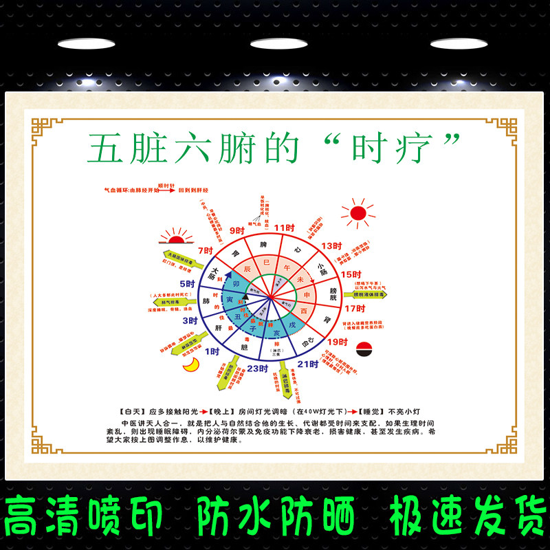 人体五脏六腑背部反射区示意图美容院五脏五行行时海报写真