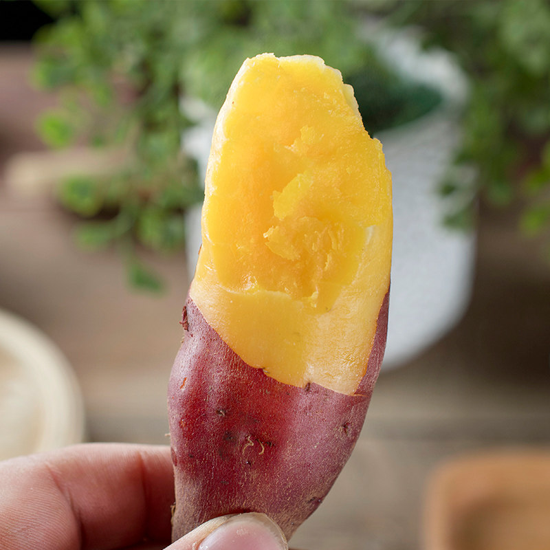 新鲜现挖5斤天目山小香薯红薯板栗番薯紫薯中号沙地瓜黄心山芋