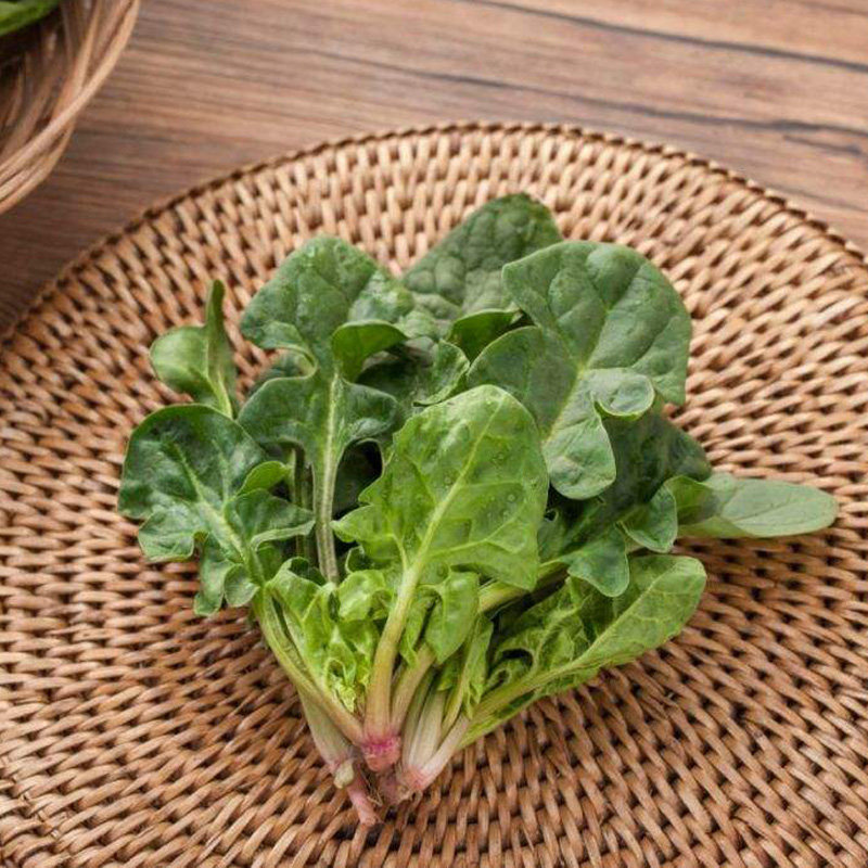 矮脚菠菜500g 上海崇明本地崇明特产小菠菜巴奴笨菠菜5件顺丰包邮