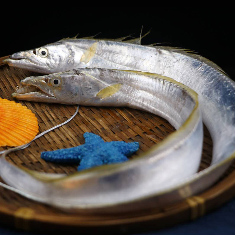 带鱼东山岛黄金1kg5-6条新鲜黄鳍冰鲜深海生鲜带鱼