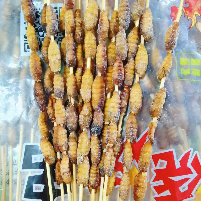 夏季烧烤冷冻金蝉优质野生知了油炸小蚕蛹50串其他食品