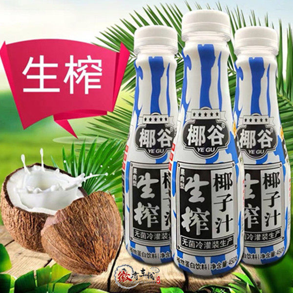 海南风味椰谷生榨椰汁植物蛋白饮料450ml15瓶植物蛋白饮料
