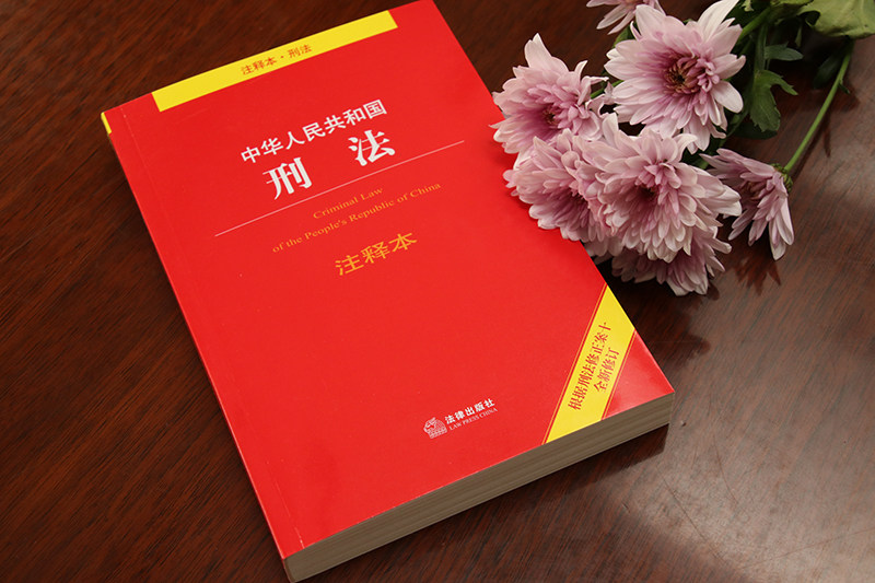 刑法法条2019最新版 刑法注释本 根据刑法修正案十中华人民共和国刑法