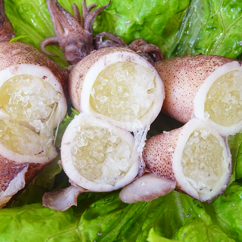 海兔2斤兔子满籽鲜活冷冻海鲜水产籽乌笔管冷冻墨鱼