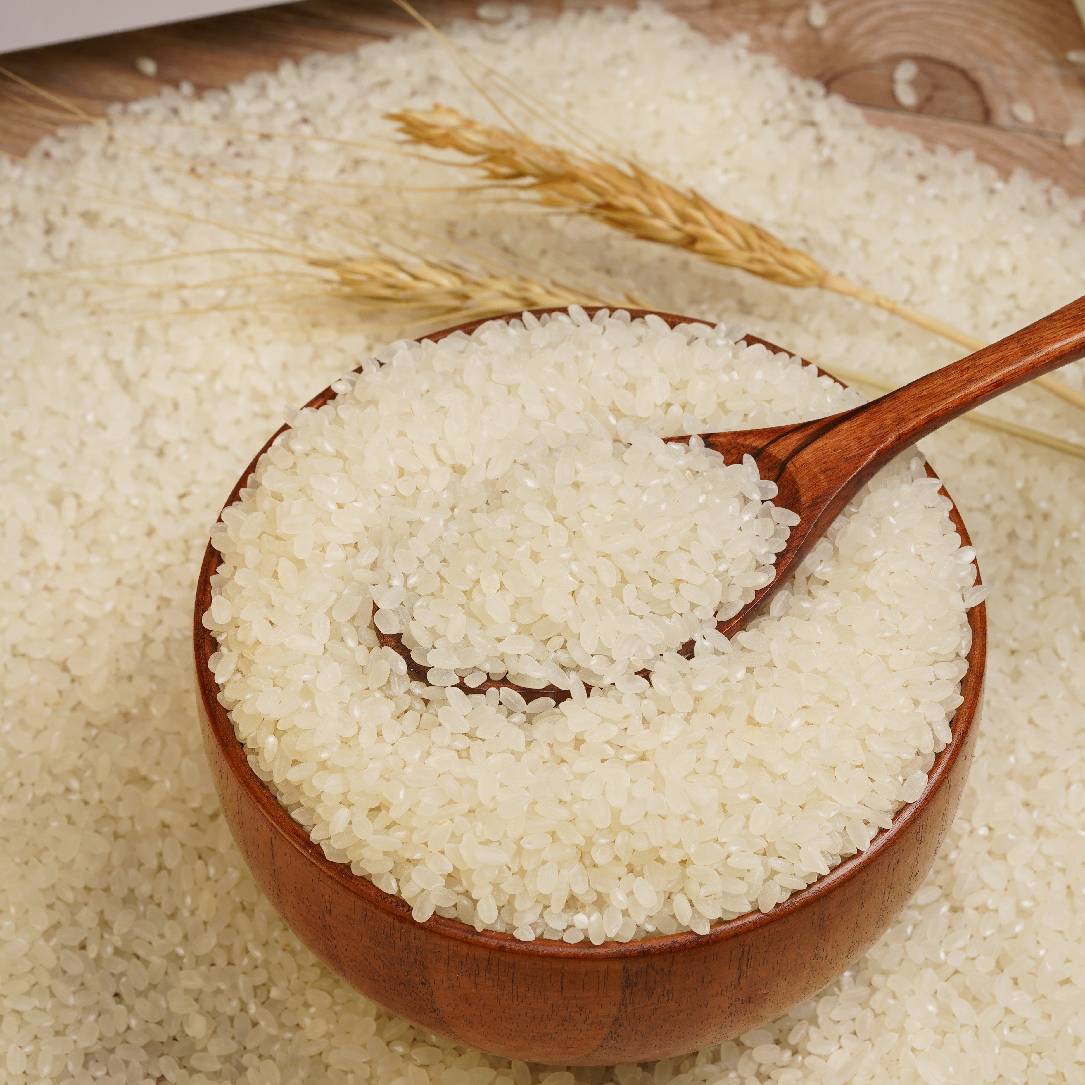 伊香大米贡米精米10斤新疆察布查尔县鸭稻非稻花香大米