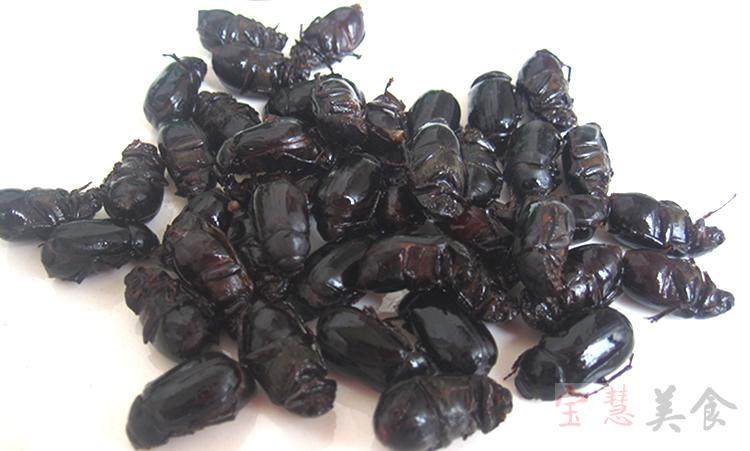 包邮2021新鲜瞎眼创子瞎撞子瞎闯子金龟子油壳郎甲壳虫500g