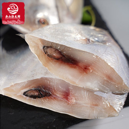 鲳鱼舟山新鲜海东海鲜活白鳞野生小平平鱼冷冻鲳鱼