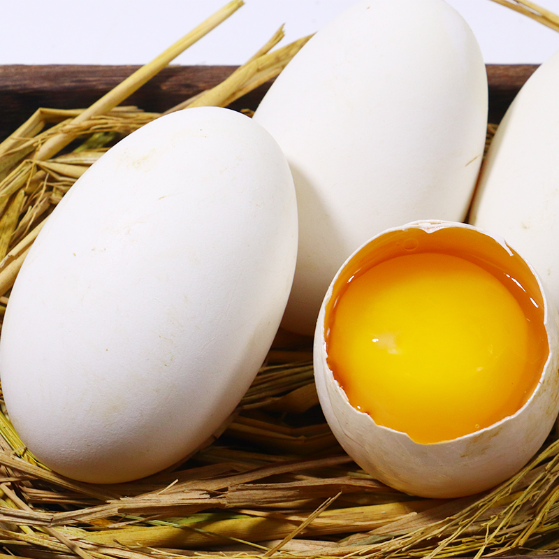 鹅蛋大超超大140170克枚12枚包邮五谷农家散养新鲜鹅蛋