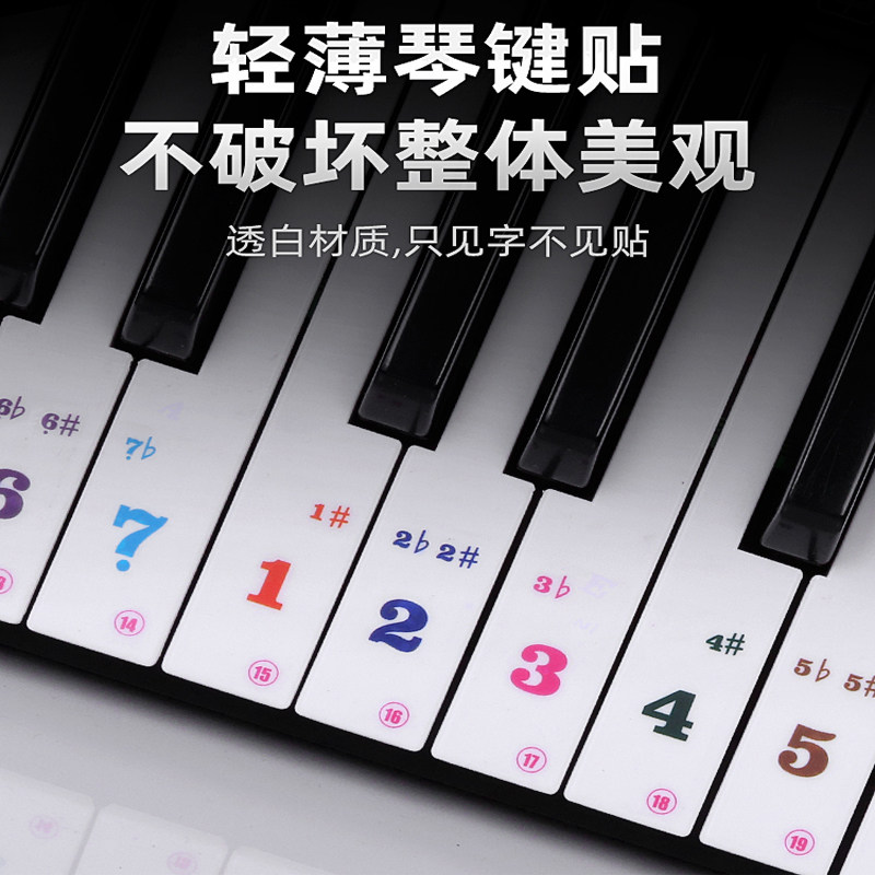 电子琴透明简谱键盘贴纸彩色数字音符贴音标贴其它乐器配件