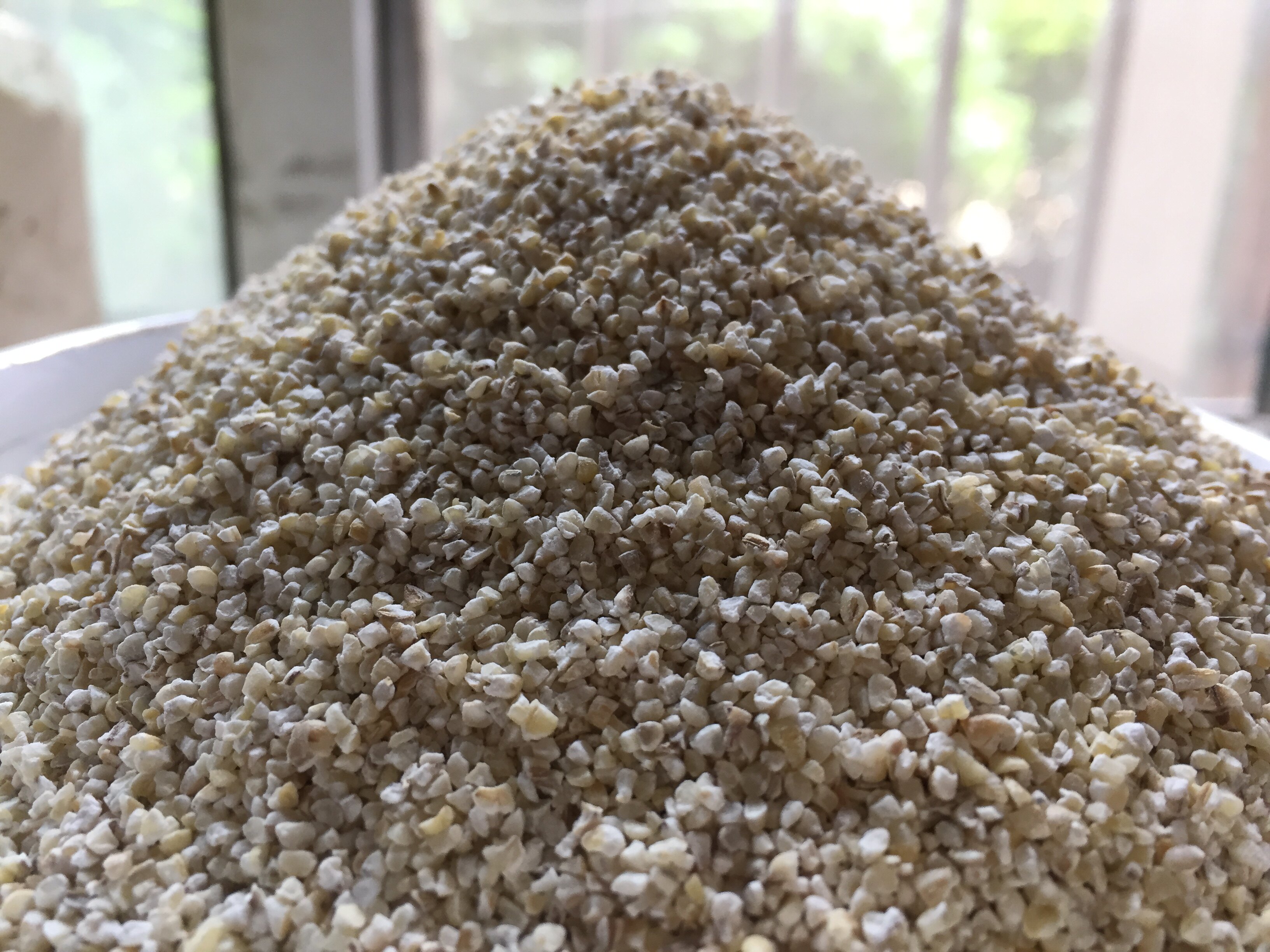 苏北特产大麦采子大麦糁大麦彩子五谷杂粮去麸大麦煮粥吃10斤包邮