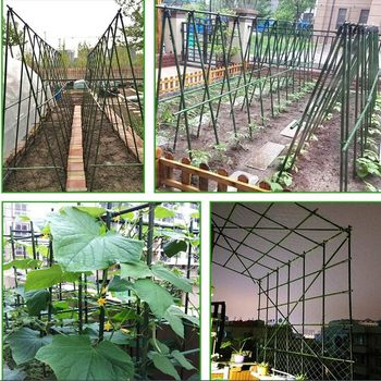 ປີນພູ trellis ດອກຢືນນອກ courtyard grape trellis bracket support rod climbing vine plant fixed ແຕງເລັ່ນ ການປູກຜັກ