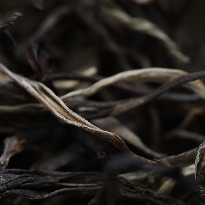 新品春茶2020年弯弓单株易武普洱茶茶饼古树茶叶普洱