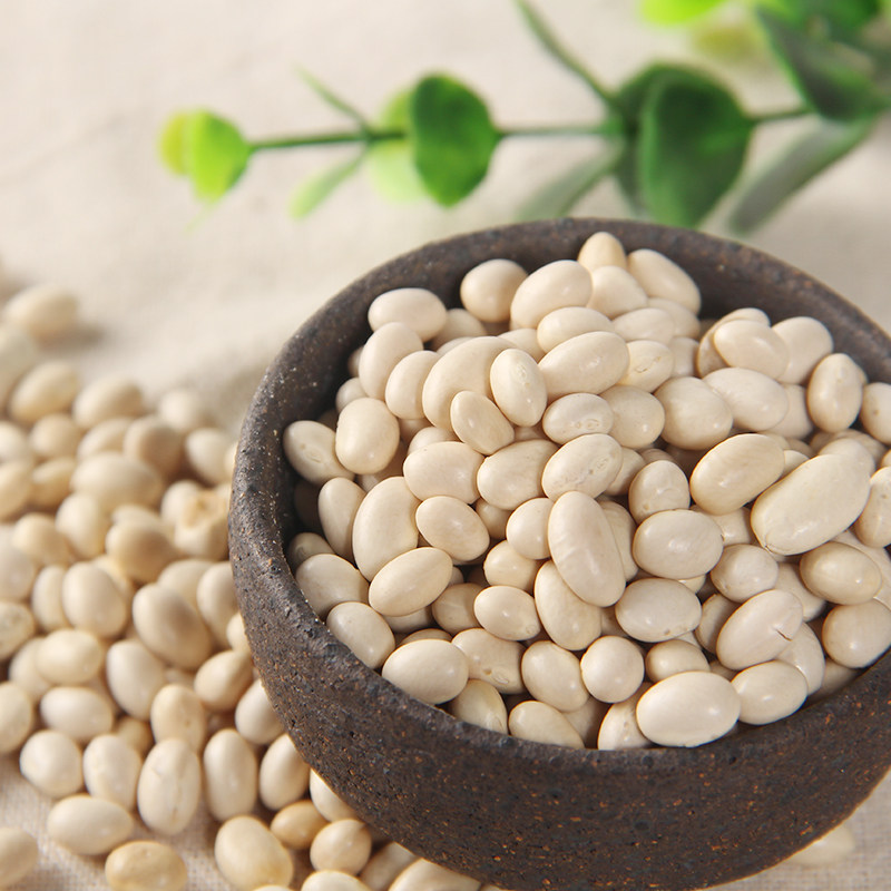 吉得利 白芸豆500g 大白豆东北五谷杂粮新打豆浆伴侣