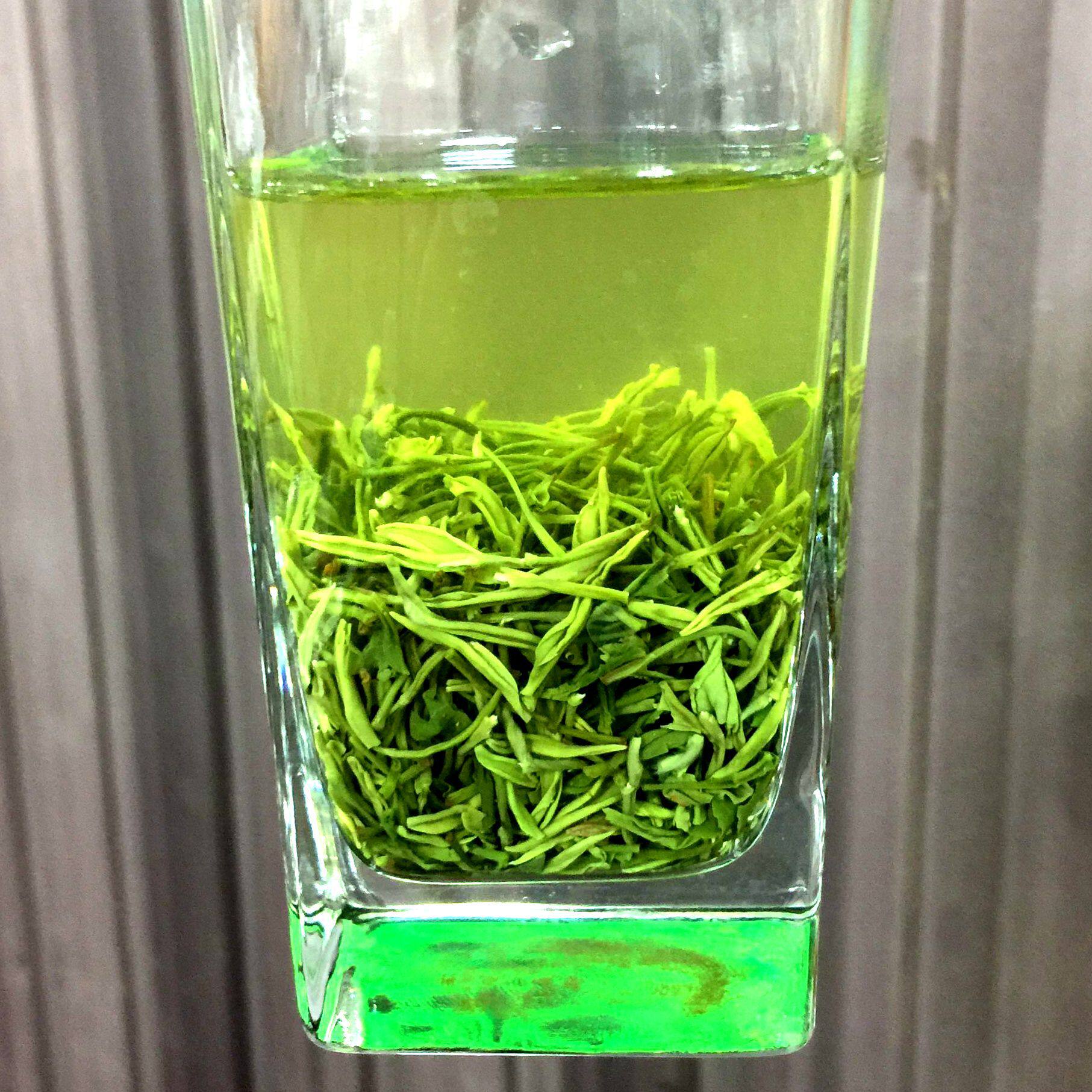 毛尖信阳2022新茶明高山嫩芽罐装绿茶500g浓香信阳毛尖