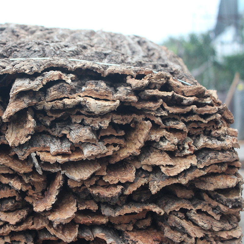 美空热销防腐香槟树皮爬宠躲避遮挡下水管柱子干花