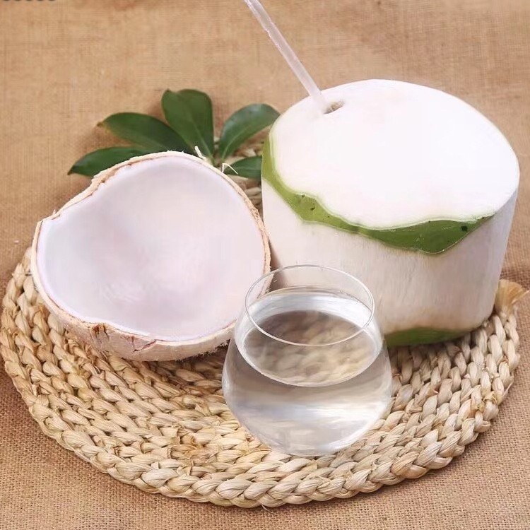 海南椰子椰青新鲜包邮个大网红香水文昌椰汁椰青