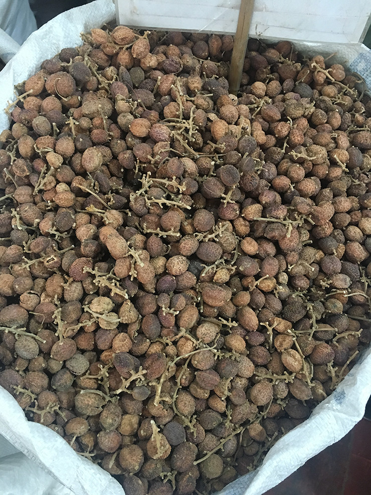 春砂中药材仁泡酒香香料仁沙仁果调味料一斤500克其他药食同源食品