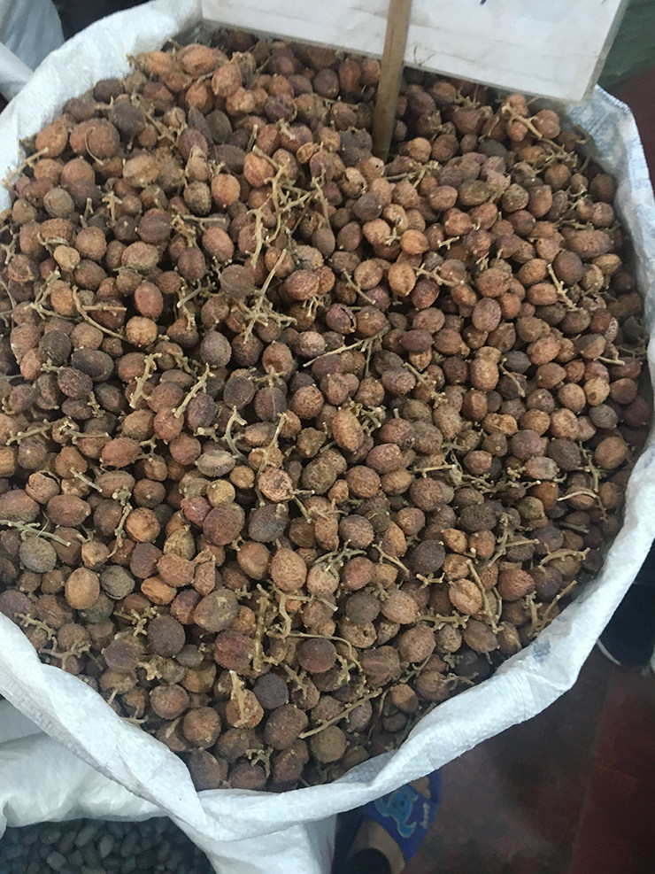 春砂中药材仁泡酒香香料仁沙仁果调味料一斤500克其他药食同源食品