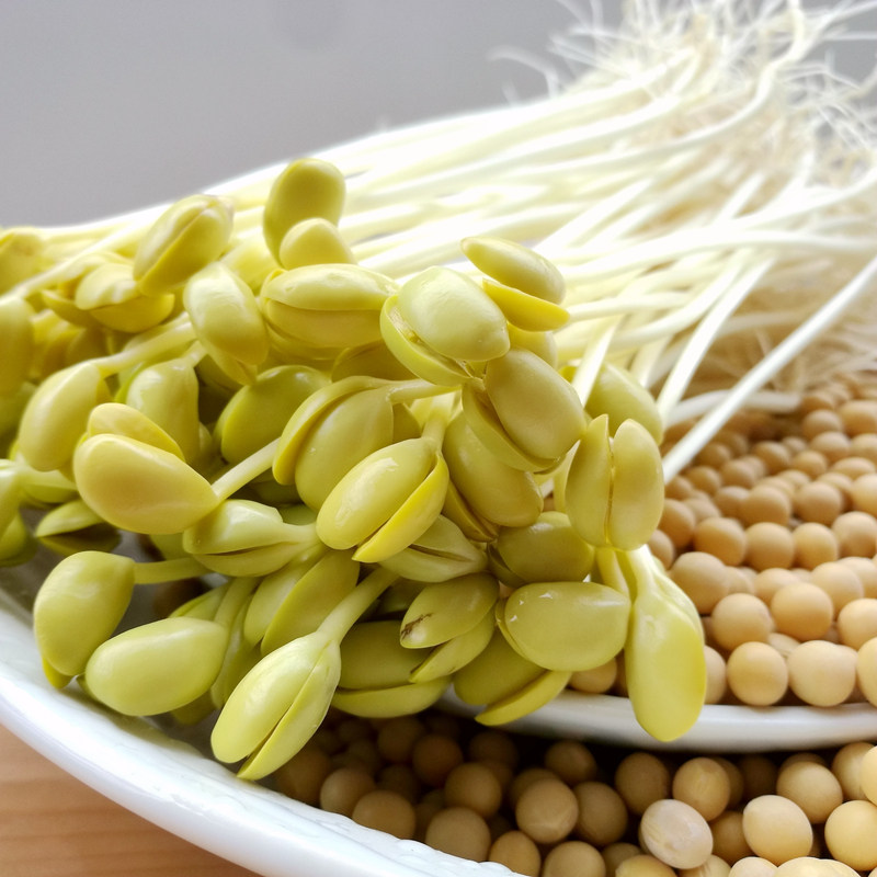 试种套餐发豆芽专用豆5种芽豆各1斤珍珠小粒黄豆690