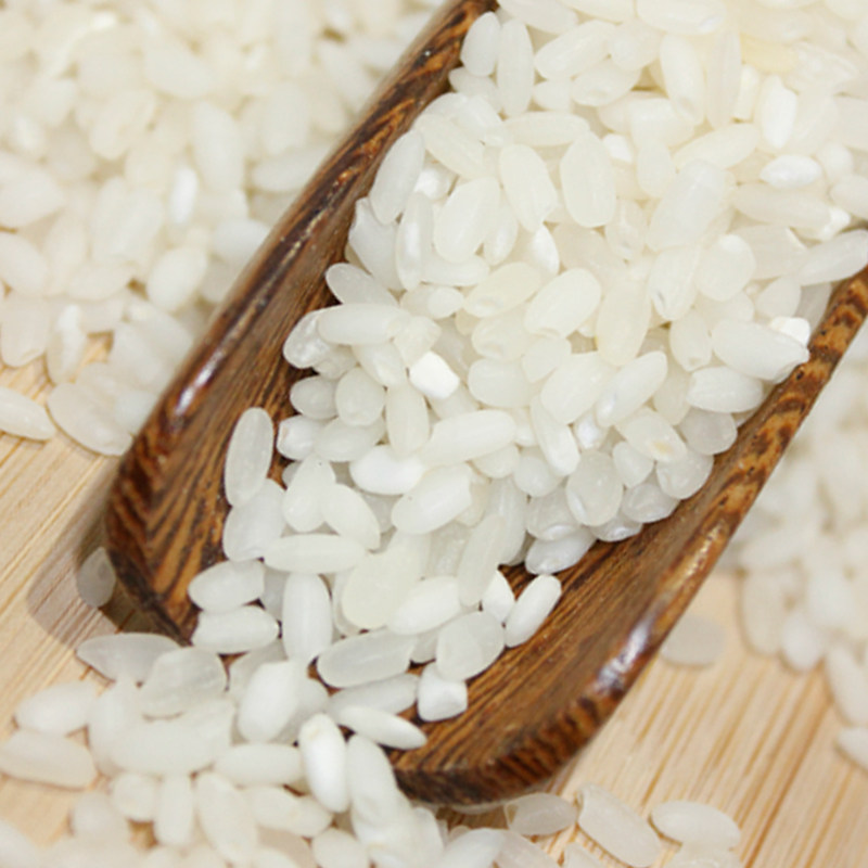 白湖大米10kg香软米粳米20斤包邮寿司米宝宝煮粥香米非东北大米