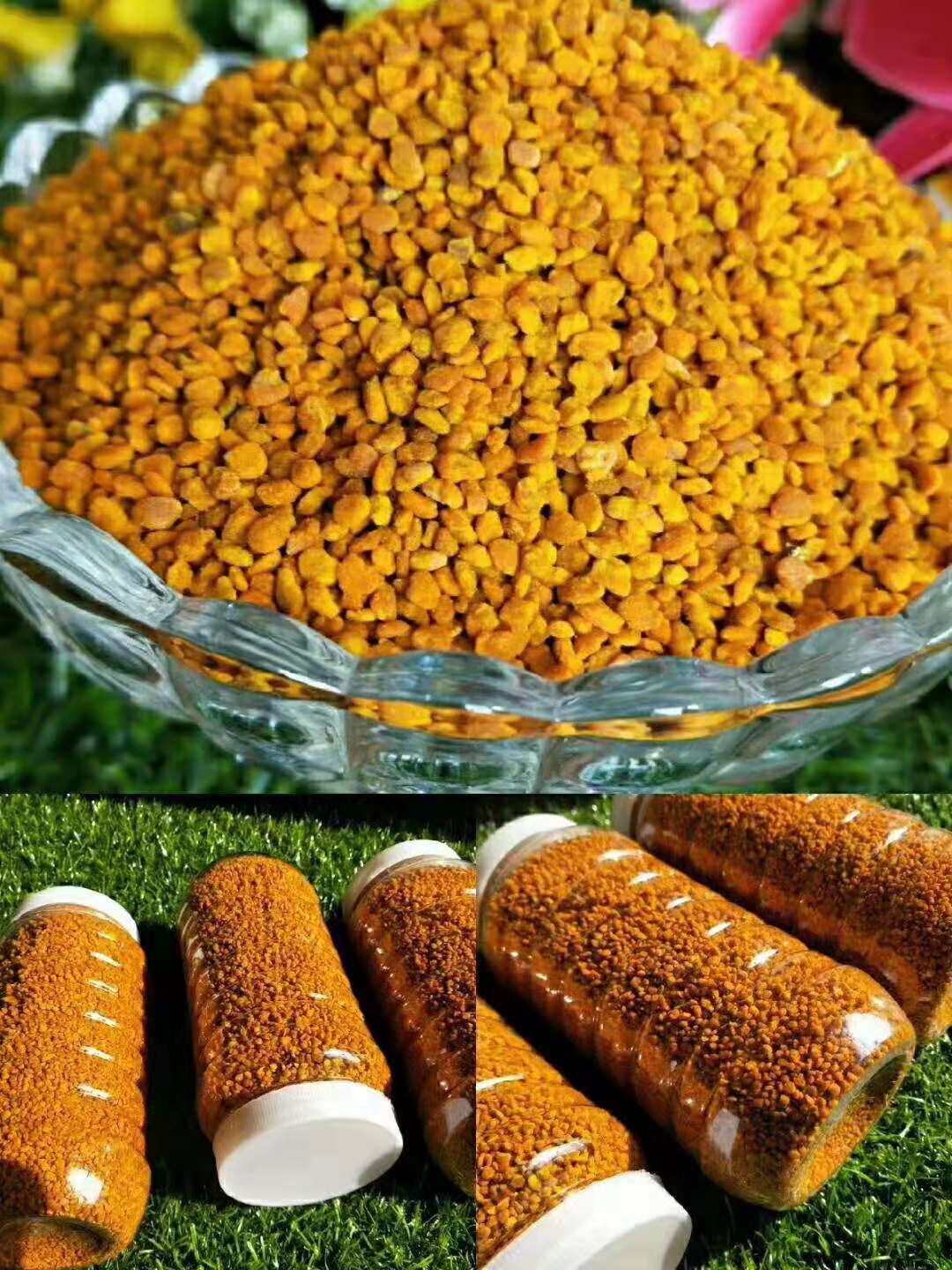 茶花蜂花粉纯正农家土取巢天然新鲜蜂花粉蜂花粉蜂蜜正品500g