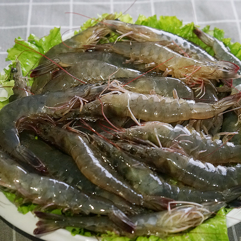 青岛大虾鲜活海鲜水产冻虾野生基围50款新鲜冻虾