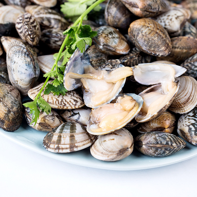 青岛野生红岛蛤蜊 鲜活活体花蛤花甲 新鲜花蛤嘎啦4斤包邮