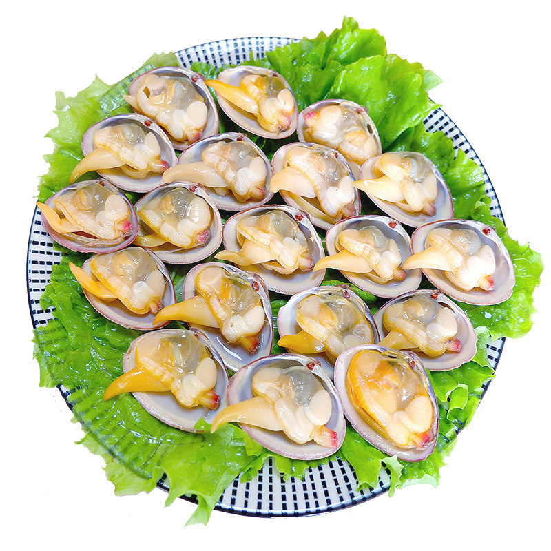丹东特产大黄蚬子野生鲜活无沙生鲜海鲜贝类水产蛤蜊花甲4斤顺丰
