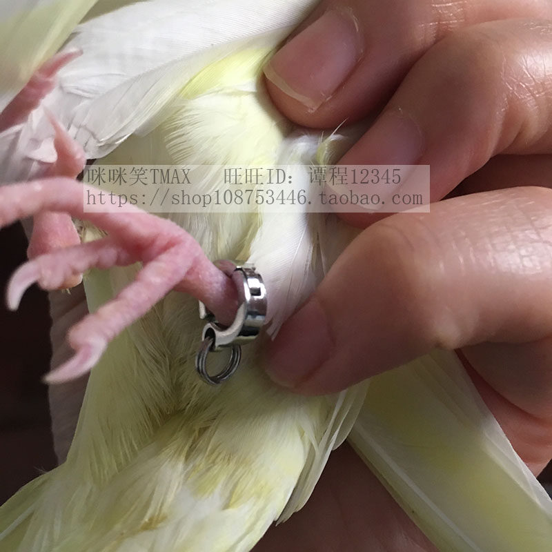 开口不锈钢鸟脚环脚链放飞鹦鹉玄凤八哥牡丹鹩哥其他